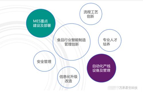 萬界星空科技MES系統在食品加工行業的創新應用與計算機軟硬件技術開發