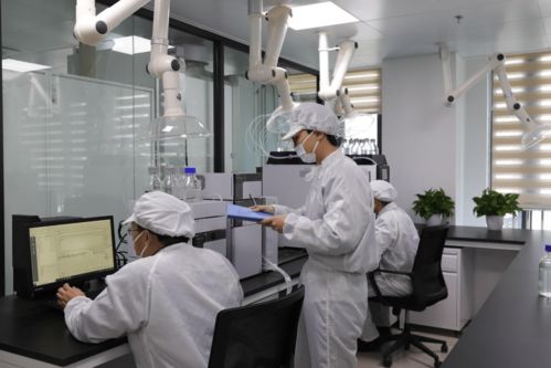鴻湖膜業自主研發自動化裁切設備，以技術創新驅動調光膜應用拓展